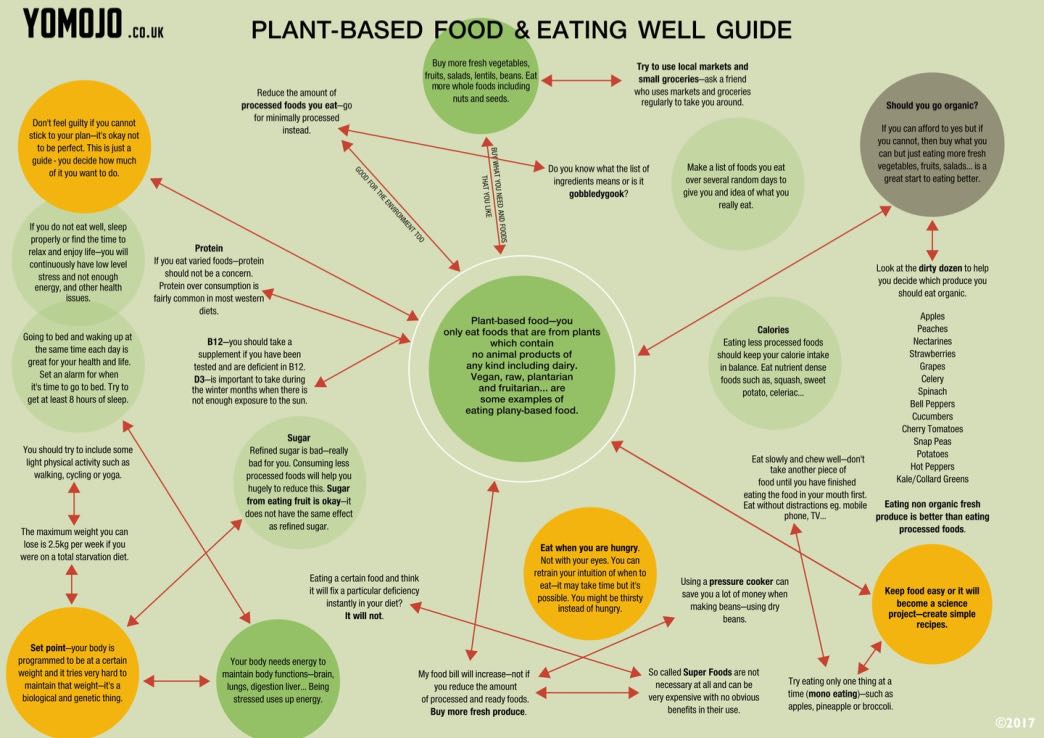 Plant based Eating Guide OMOJO